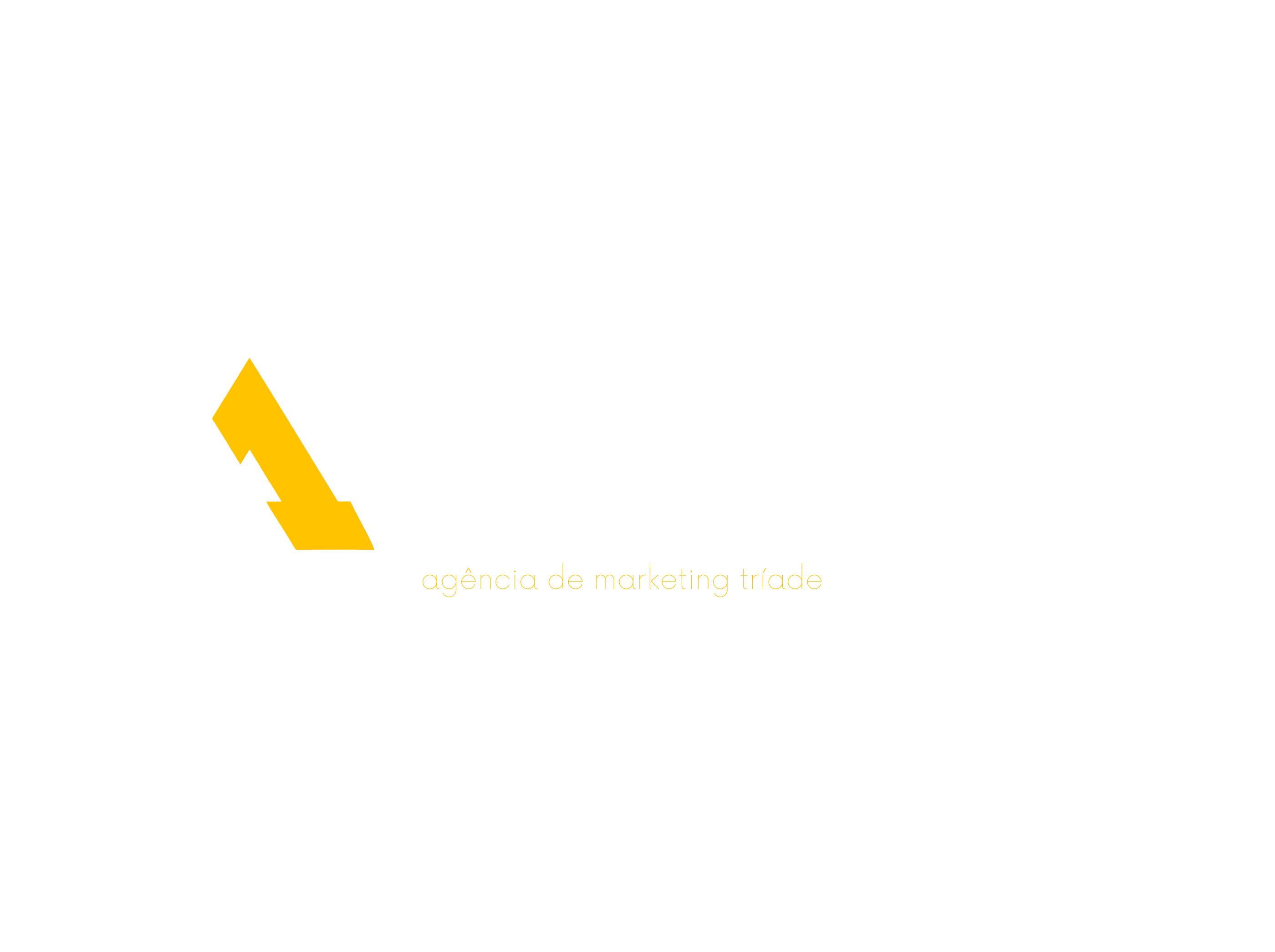 A1 Company
